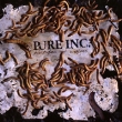 Pure Inc Parasites And Worms Формат: Audio CD (Jewel Case) Дистрибьюторы: Концерн "Группа Союз", Dockyard Россия Лицензионные товары Характеристики аудионосителей 2009 г Альбом: Российское издание инфо 3250n.