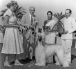 Best in Show: The World of Show Dogs and Dog Shows Издательство: Kennel Club Books, 2008 г Суперобложка, 656 стр ISBN 193199385-8 Язык: Английский Мелованная бумага, Цветные иллюстрации инфо 4092n.