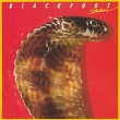 Blackfoot Strikes Формат: Audio CD (Jewel Case) Дистрибьюторы: Warner Music, Торговая Фирма "Никитин" Германия Лицензионные товары Характеристики аудионосителей 1979 г Альбом: Импортное издание инфо 5855n.