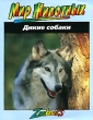 Дикие собаки Серия: Мир животных инфо 8334a.